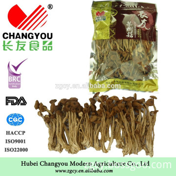 Nutritional food dried tea flower mushroom producer